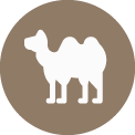 Icon Kamelhaar