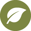 Icon Maisfaser