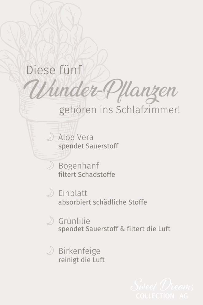 Grafik fünf pflanzen, die sich perfekt fuer gesundes Schlafzimmer einrichten eignen