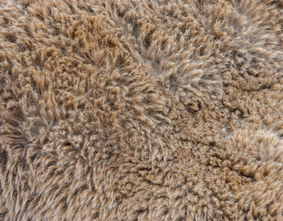 Kamelhaardecken werden tierfreundlich produziert