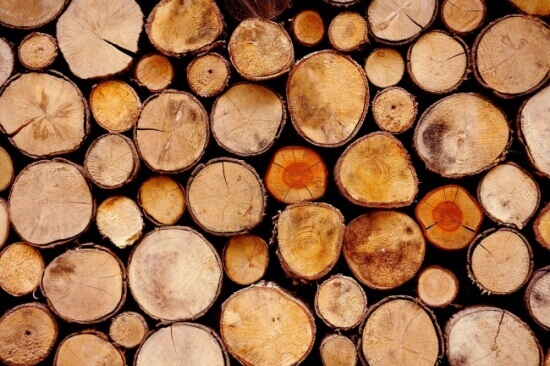 Lyocellfasern werden aus Holz hergestellt